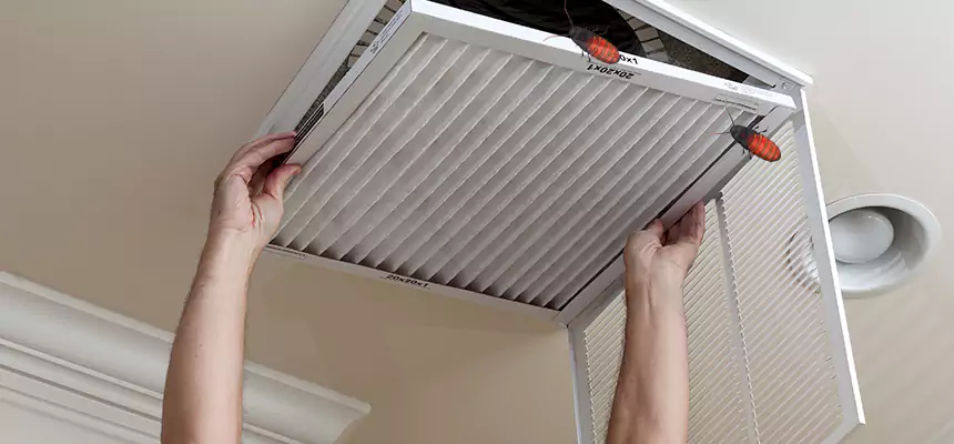Our Insect Removal from Air Ducts Services in Troy, NY