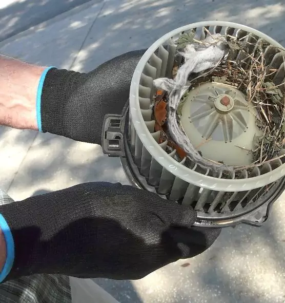 About Air Duct Rat Removal in Troy, NY